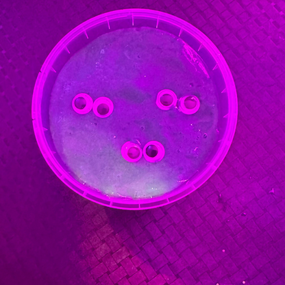 Halloween Slime
